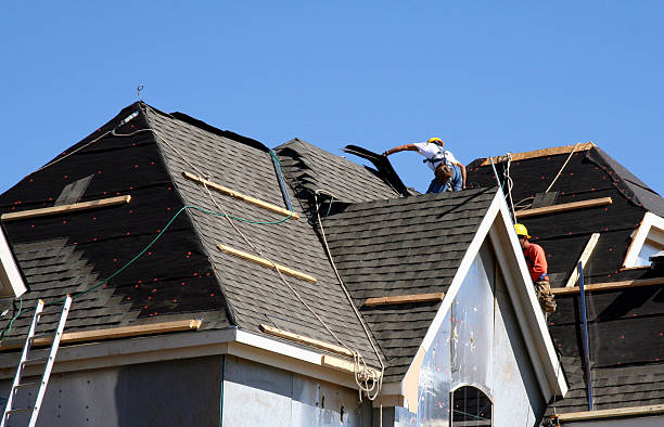 Best Metal Roofing Contractor  in Marinette, WI